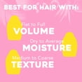 thumbnail image 4 of OGX Strength & Length + Golden Turmeric Shampoo with Coconut Milk to Soothe Scalp & Nourish Hair, Ayurveda Sulfate-Free Surfactants for Stronger & Longer Hair, 13 fl. oz, 4 of 9