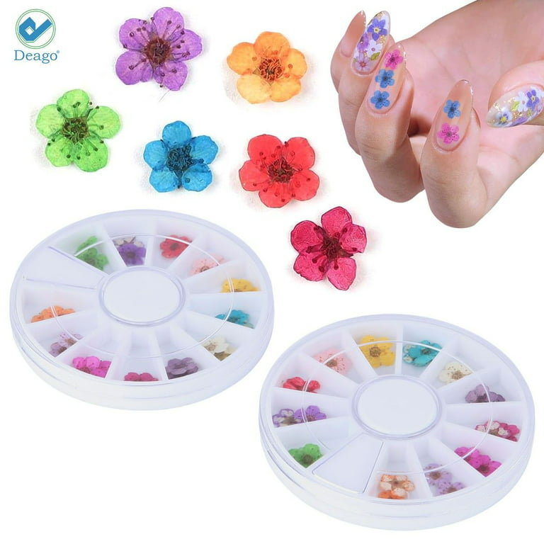 3D Nail Dried Flowers Sticker Set CHANGAR Real Dried Flowers for Nail Art &  Resin Craft DIY Five Petal Flower Leaf Gypsophila Dry Flower Nail Art  Decoration Kits(2 Boxes) - Yahoo Shopping
