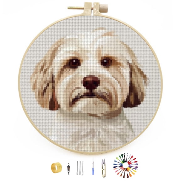 DIY Stamped Cross Stitch Kits Havanese Dog Easy for Beginners with Hoop 11CT Counted Embroidery Needlepoint Crafts Arts for Handmade Enthusiasts and Home Decor 30x30cm(1)