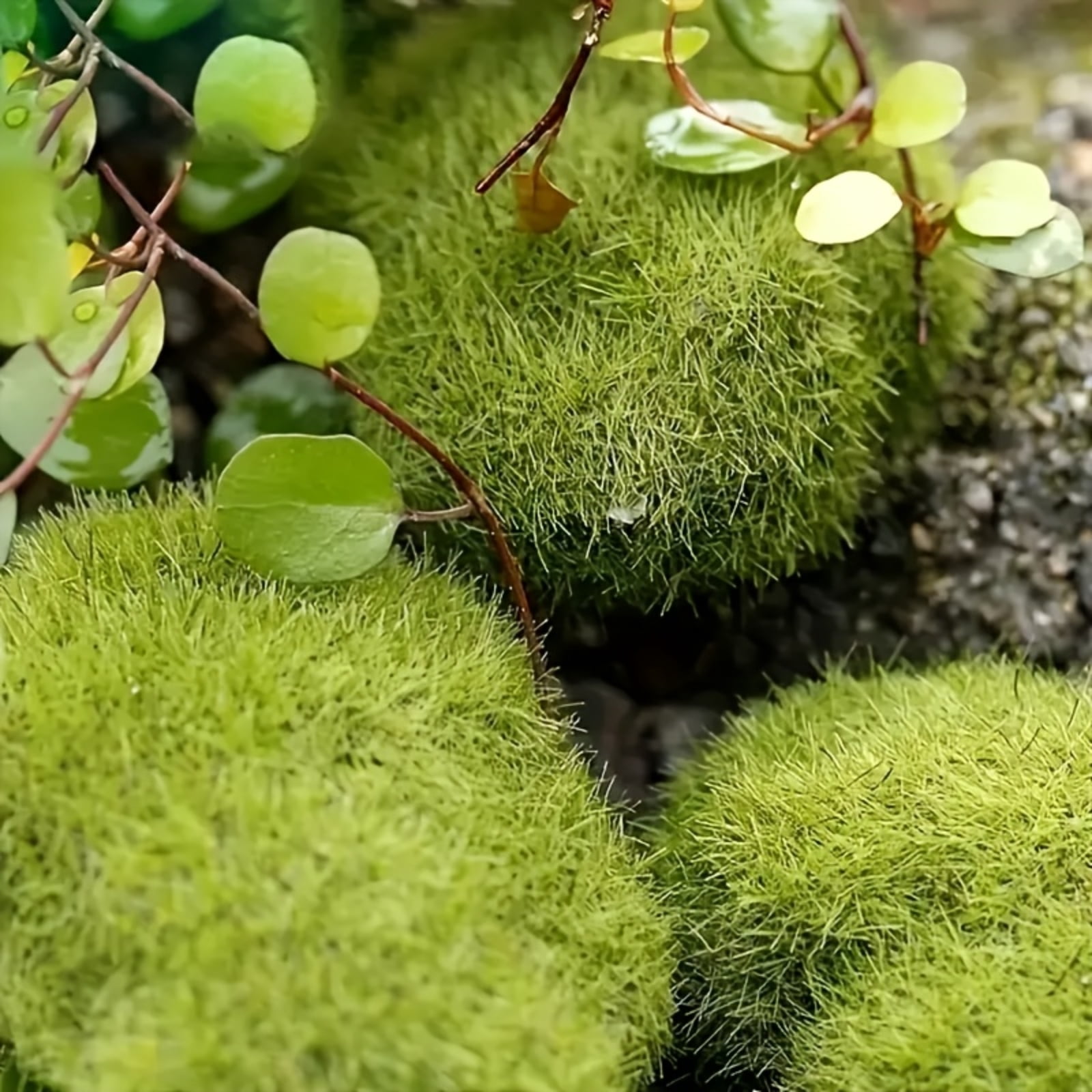 40PCS Artificial Moss Rocks Green Moss Decor for Floral Arrangements, Fairy Gardens and Crafting