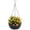 A #1, variant on ZZAIXHL 10 inch Hanging for Indoor Outdoor Plants, 2 Pack Hanging Flower Pots with Drainage Holes and Chain for Garden Porch, Round Plastic Hanging Baskets for House Plants