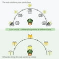 thumbnail image 4 of Witsanlex Smart LED Grow Lights for Indoor Plants, Full Spectrum, Sun Mode Auto Dimming, Daily Auto on/off Timer, Height Adjustable, 4 of 7