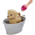 thumbnail image 3 of Barbie Plan ‘n' Wash Pets Doll and Playset, 3 of 9