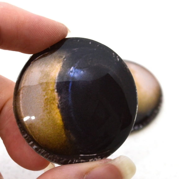 Cross-Eyed Possum Animal Glass Eyes