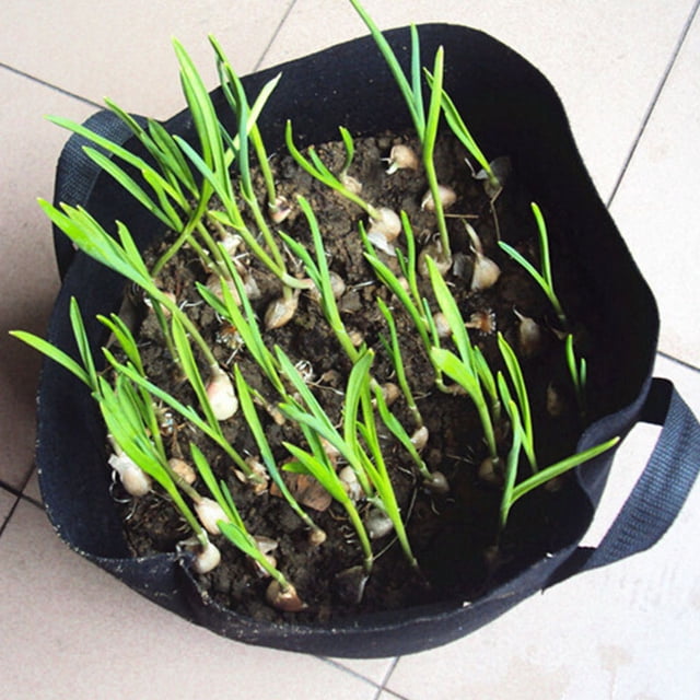 pitrice Outdoor Round Flower Planting Bag PP Nonwoven Plant Growth Pouch Vegetable Growing Pot 1-34 Gallons