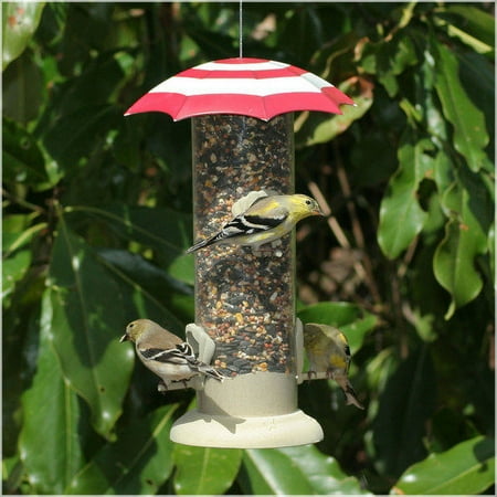 Avant Garden Sea Shore Bird Feeder