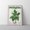 Rolled Canvas, variant on Plantasia Poster, Retro New Age Ambient Music Album Art Print