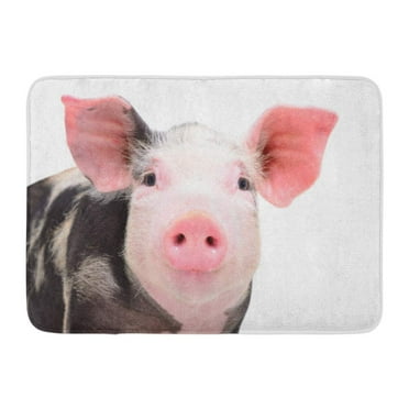GODPOK Head Black Pig Portrait of Attractive Little Piggy Closeup White Pink Happy Adorable Rug Doormat Bath Mat 23.6x15.7 inch
