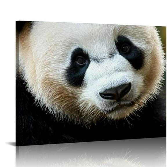 FCXZI Giant Panda Wall Art Poster Gifts Bedroom Prints Home Decor Hanging Picture Canvas Painting 16x12in