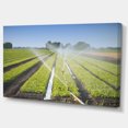 thumbnail image 2 of Beautiful View of Crops Watering - Landscape Canvas Art Print, 2 of 4