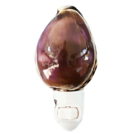

Seashell Night Light w. Purple Top Tiger Cowrie 4
