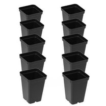 SUNPACK 2.5" Square Seedling Pot for Indoor Gardening, Black (Pack of 10) - Easy Transplanting of Seedlings and Cuttings, Designed with Drainage Holes - for Healthy Root Growth