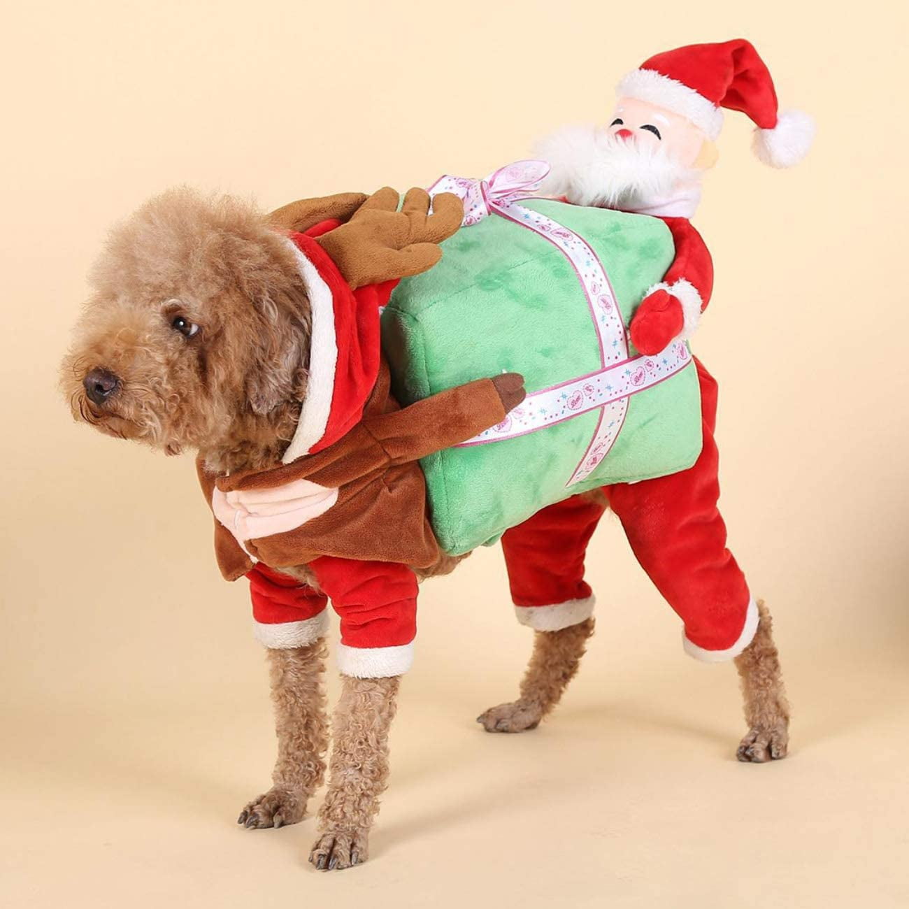 small dog elf costume