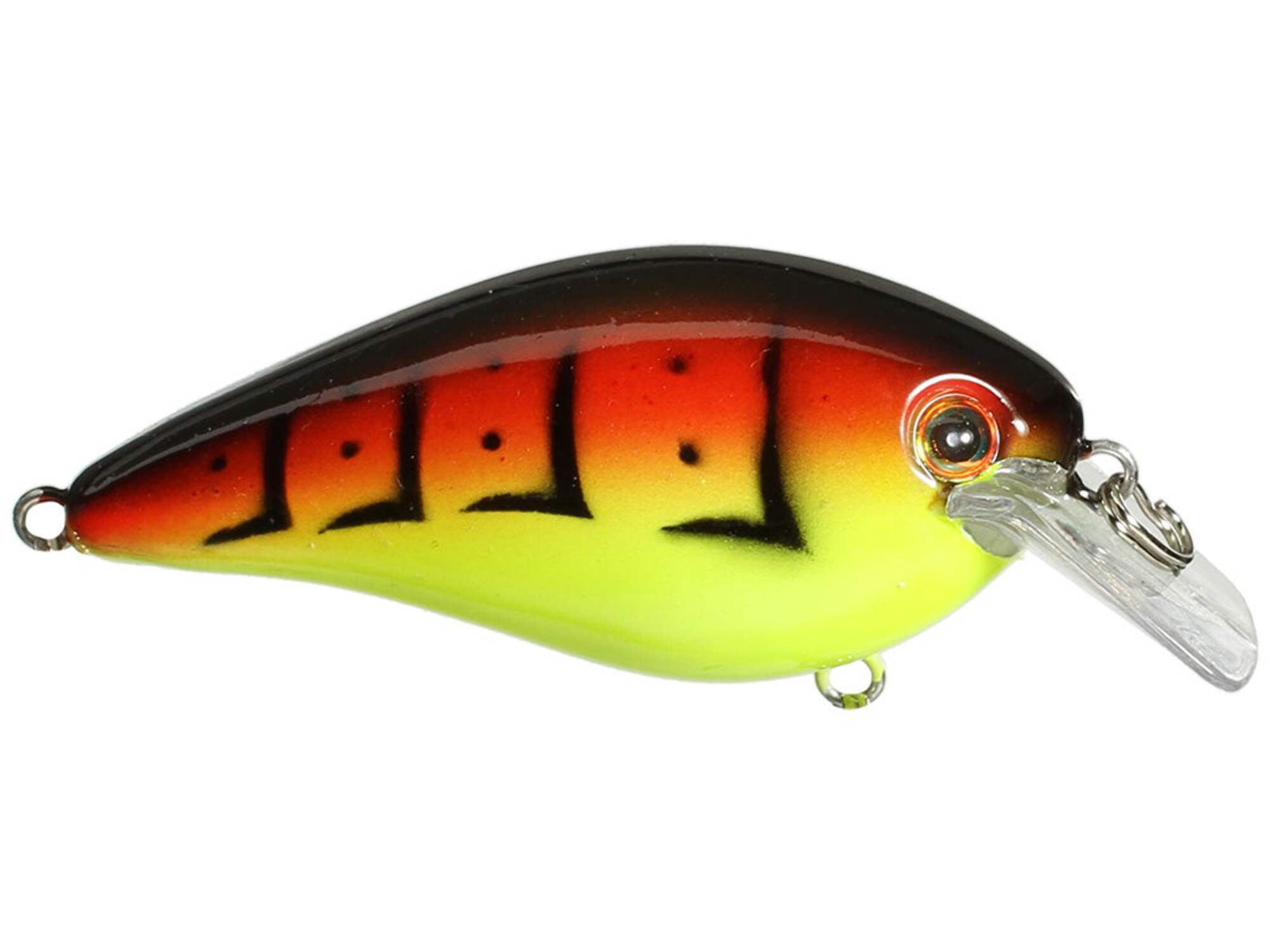 Strike King KVD Square 2.5 Citrus Shad