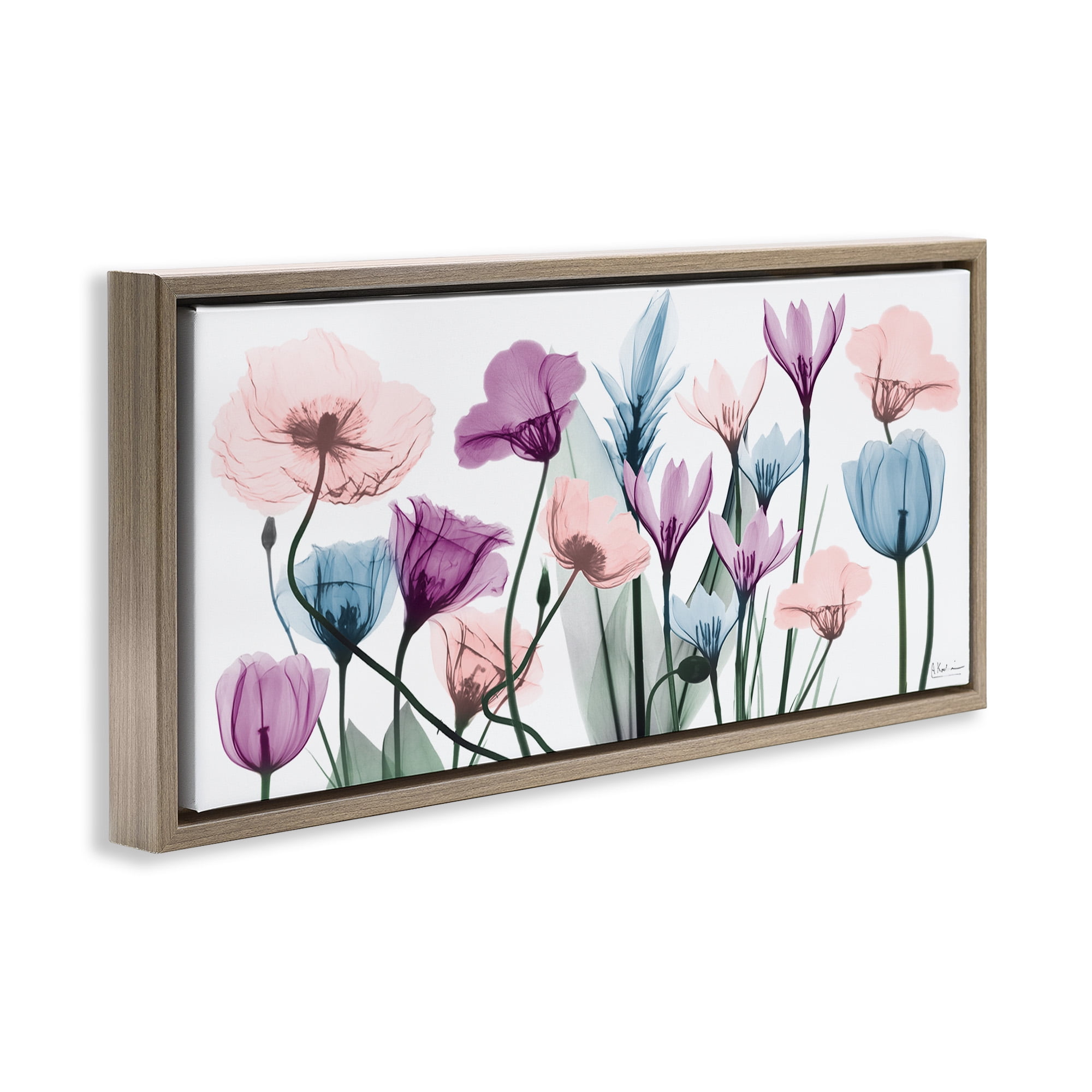 Stupell Industries Modern Translucent Pastel Tulips Botanical & Floral Painting Brown Floater Framed Canvas Art Print Wall Art, 31 x 14