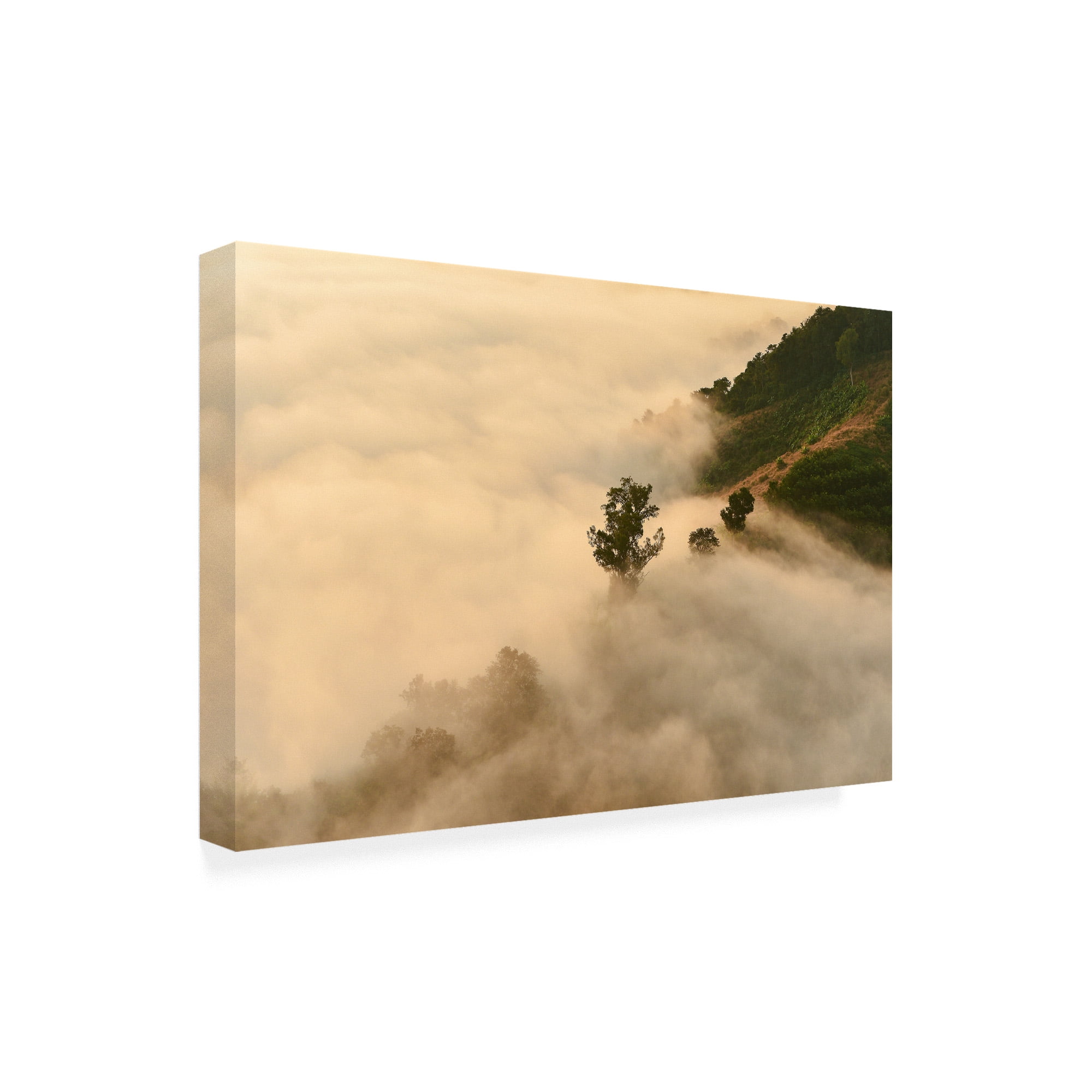 Trademark Fine Art 'Clouds Trees' Canvas Art by PhotoINC Studio