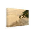 thumbnail image 2 of Trademark Fine Art 'Clouds Trees' Canvas Art by PhotoINC Studio, 2 of 3