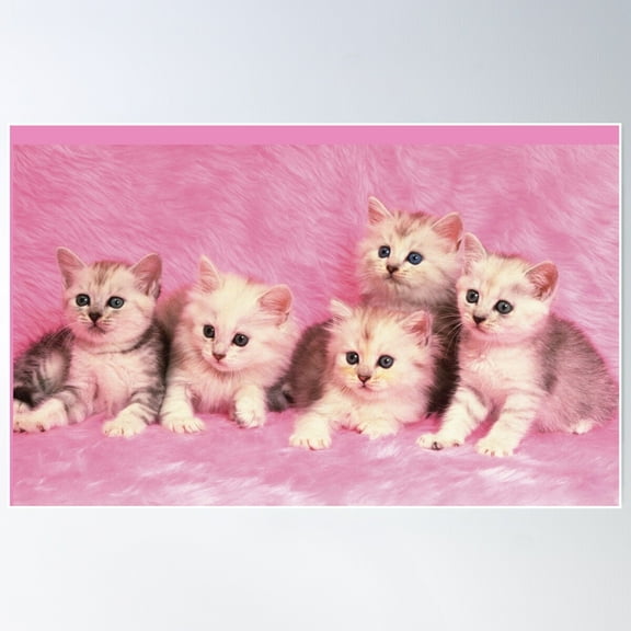 Cute Cats Fluffy Kitten Poster Wall Art, Modern Wall Decor For Living Room Bedroom, 8x12 UNFRAMED