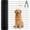 Black, variant on 48" × 99ft Vinyl Coated Welded Wire Mesh, 16 Gauge 2/3 inch Black PVC Metal Mesh, Protective Fence Support for Poultry Cages
