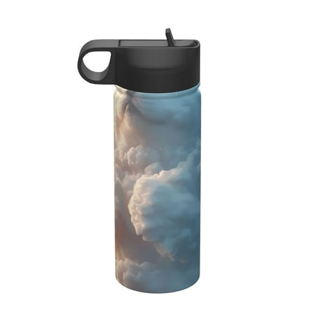 

Picia Cute Cloud Cat Pattern 18oz Sports Insulated Kettle With Straw Insulated Water Bottle For Running Hiking Cycling Climbing Men S Woman Insulated Water Bottle