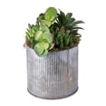 thumbnail image 1 of Vickerman 9" Conteneur Rustique en Étain avec une Variété de Plantes Succulentes. -F12203, 1 of 1
