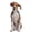 Orange, variant on Mosey Pretty Dog Collar High Elasticity for Kitty Anti-Lock