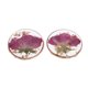 thumbnail image 4 of 2 uds pendientes secas resina para mujer, para , manualidades DIY Sunnimix Flores de cristal para manualidades, 4 of 8