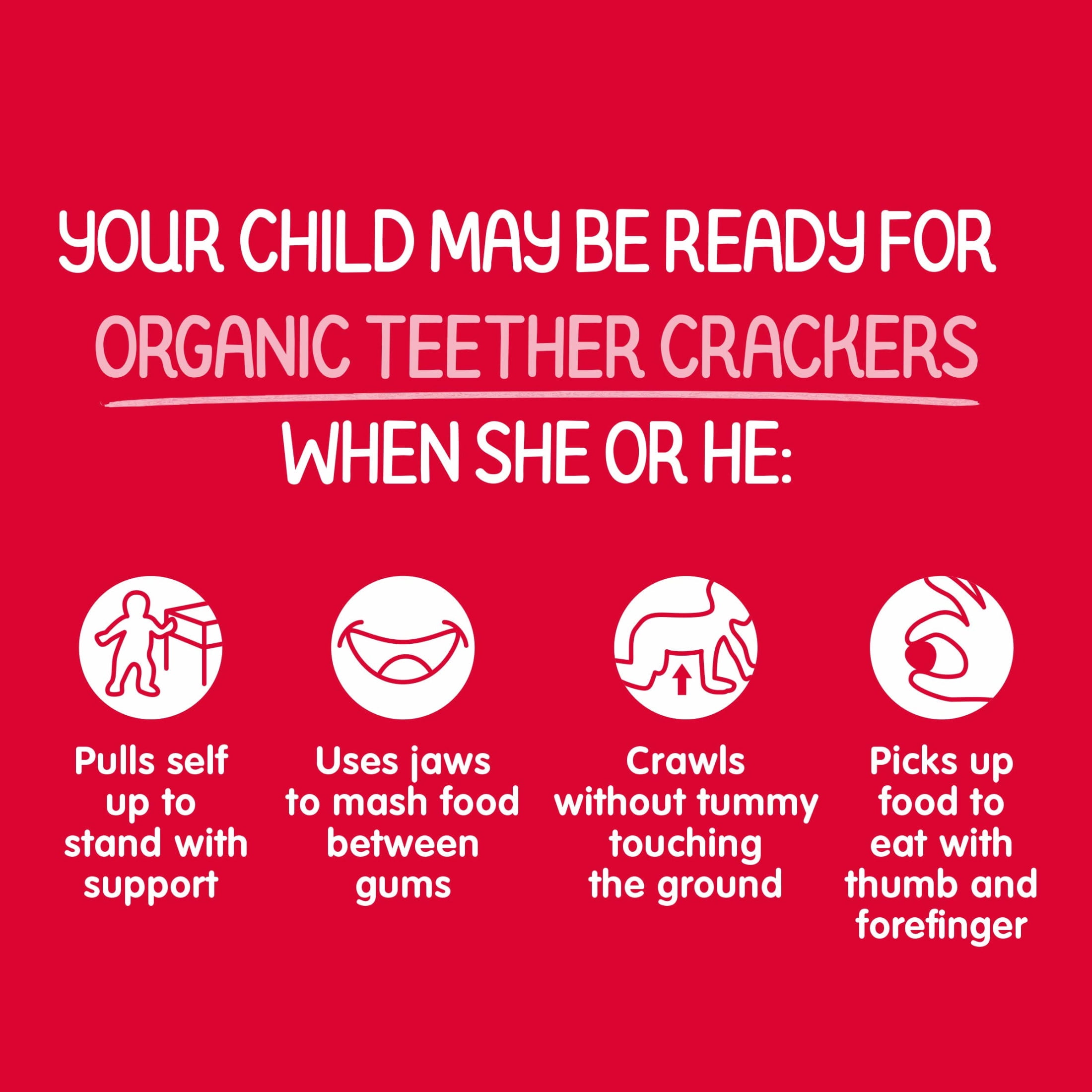 Happy Baby Organics Teether Crackers, Strawberry & Beet Organic Gluten Free Teething Snack, Box of 12-2packs (24 wafers)