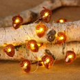 thumbnail image 2 of Guirnalda De Luces Led De 3 Metros Y 40 Led, Guirnalda De Luces De Hadas Para Acción De Gracias, Dormitorio De Otoño, Decoración De Navidad Y Halloween Scienceny HA038550-00, 2 of 6