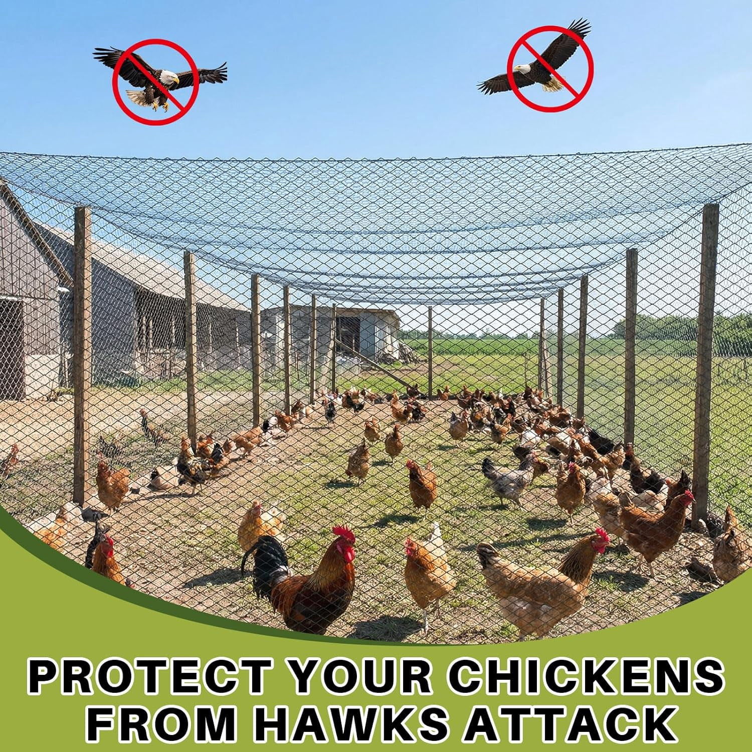 25x25ft Heavy Duty Knotted Chicken Netting, 2 Inch Mesh Aviary Bird Netting for Poultry & Garden