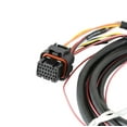 thumbnail image 2 of Holley EFI 558-422 Fuel Injection Harness, 2 of 4