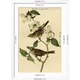 thumbnail image 5 of Art.com White Throated Finch Art Print by John James Audubon, White Frame Wall Art, 32" x 44", 5 of 5