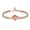 Rose, variant on Rose Flower Urn Pendant Stainless Steel Chain Link Cuban Cremation Jewelry for Ashes Holder Funeral Memorial Urn Bracelet for Ashes