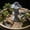 Gray2, variant on Solar Japanese Pagoda Statue, Resin Zen Garden Lantern with Night Glow, Asian Landscape Accent for Lawns, Patios, Rock Gardens, Balcony Planters and Courtyard Edges and More