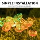 thumbnail image 5 of Xihbxyly Lámpara Solar de Medusas, Decoración Exterior con Degradado Rgb, Iluminación Automática, Diseño Impermeable Ip65 Mejorado, Ideal para Caminos de Jardín, Elegante y Fácil Instalación., 5 of 7