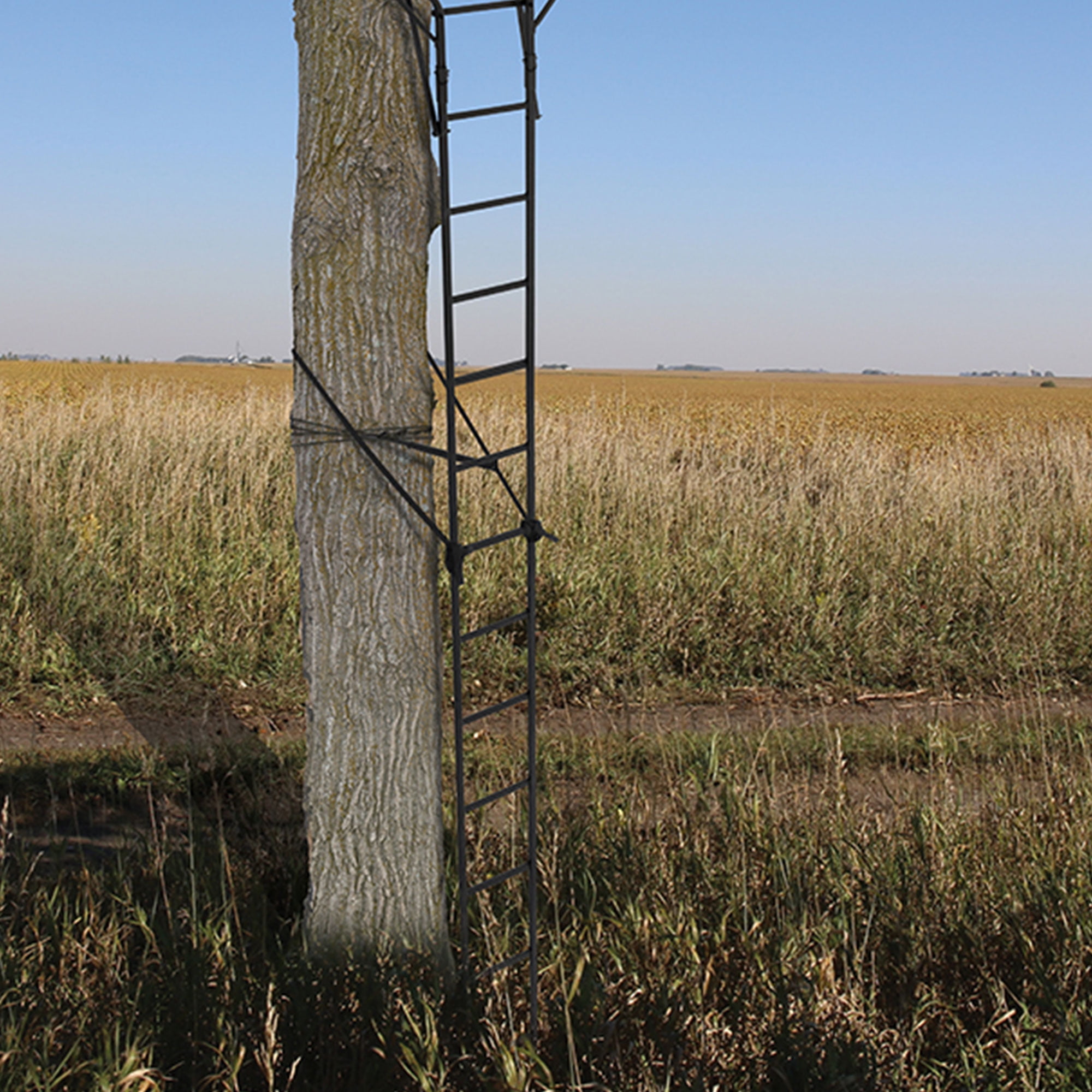 Big Game Treestands Guardian DXT Portable 2 Hunter Tree Ladder Stand, 18  Foot, 3 Pack - Walmart.com