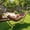 Yellow rainbow stripes, variant on Petyee 2-Persons Outdoor Double Hammock, 450 Lbs Capacity with  Adjustable Steel Stand & Carry Bag,Yellow