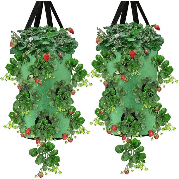 Bolsa de cultivo de fresas, paquete de 2 bolsas de cultivo de plantas de 10 galones Bolsa de cultivo transpirable con asas Macetas de tela Macetas Bolsas de plantación de jardín Maceta(verde) Rojo Verde Cocina, Decoración y Otros