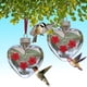 thumbnail image 2 of comedero para colibrí colgante, comedero de agua con forma de corazón, 2 of 4