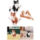 thumbnail image 1 of Juguetes de gato de simulación,Estatuilla modelo de gato de simulación Figuras de acción,Colección de figuritas de juguete para gatos de jardín Science,Modelo de Gato Falso Foto Educativa Salvador Juguetes de gato de simulación, 1 of 10