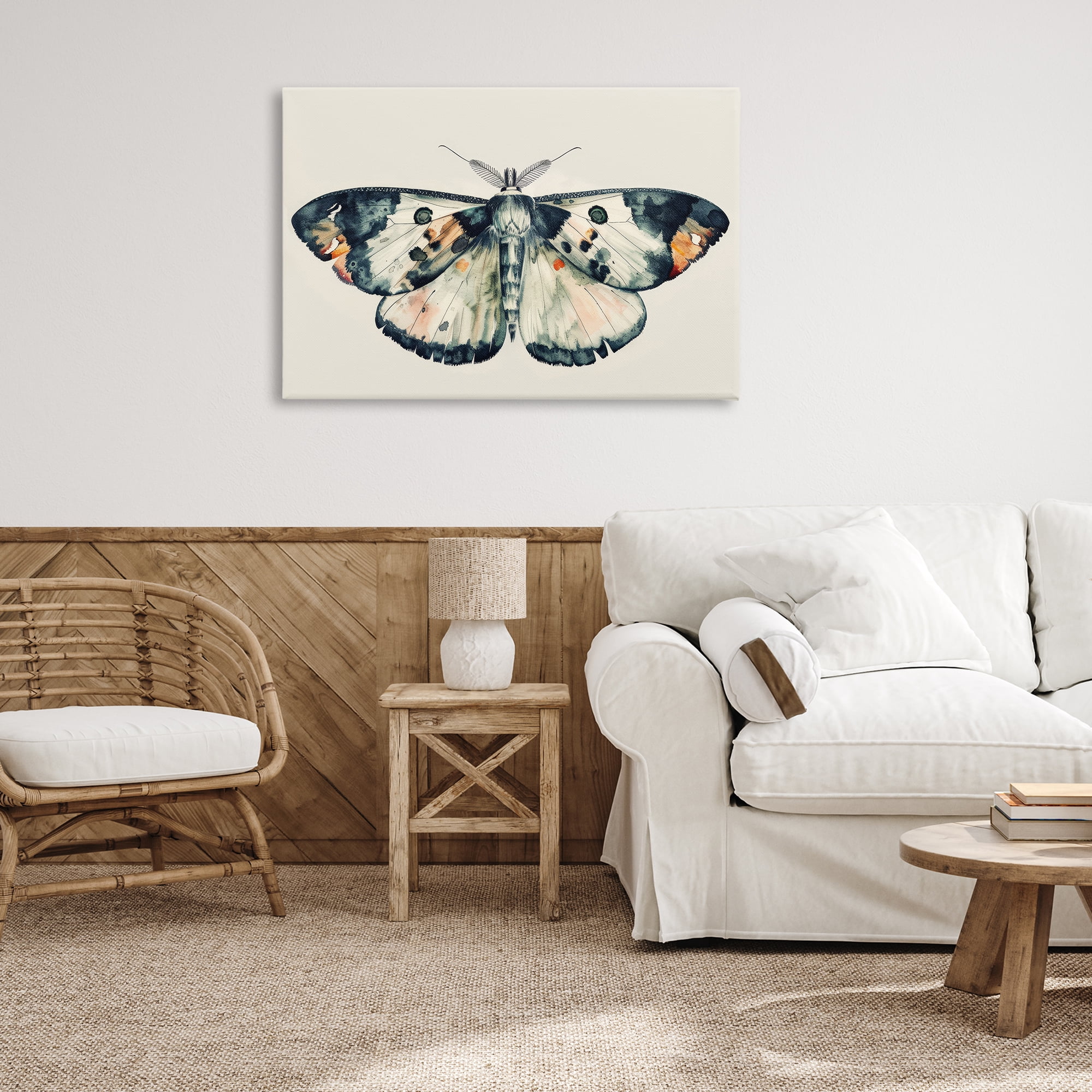 Stupell Industries Watercolor Black Trimmed Moth Animals Painting Wrapped Canvas Art Print Wall Art, 36 x 24