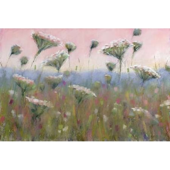 Queen Annes Lace Canvas Art - Karen Margulis (24 x 36)