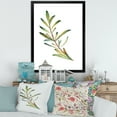 thumbnail image 3 of Designart 'Leaf Rosemary Branch on White' Traditional Framed Art Print, 3 of 4