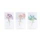 thumbnail image 1 of KAKOWELY 12 tarjetas de felicitación con flores secas Babysbreath para San Valentín y el Día del Maestro (colores variados), 1 of 5