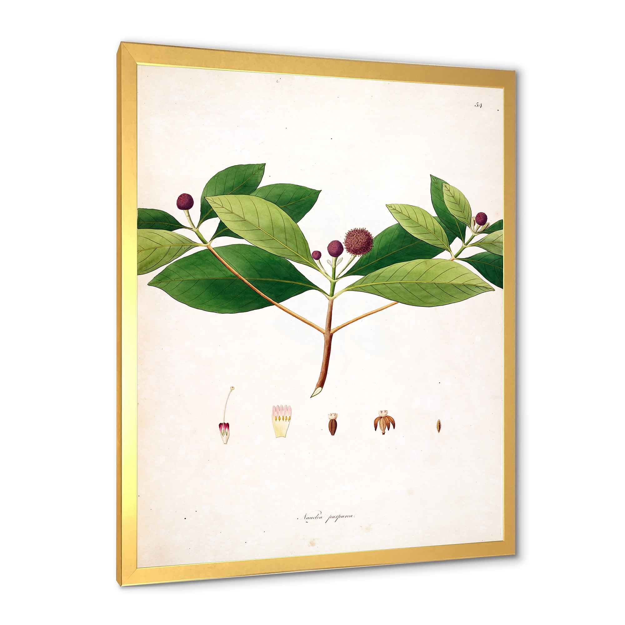 Designart 'Ancient London Plants X' Farmhouse Framed Art Print