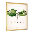 thumbnail image 2 of Designart 'Ancient London Plants X' Farmhouse Framed Art Print, 2 of 4