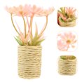 thumbnail image 2 of KAKOWELY Mini planta en maceta, bonsái en miniatura, mini bonsái artesanal, mini planta de interior decorativa, 2 of 4
