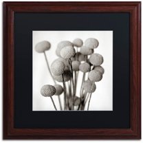 Trademark Fine Art "Florison 33" Canvas Art by Alan Blaustein, Black Matte, Wood Frame