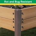 thumbnail image 4 of Miracle-Gro 4 x 8 x 1 ft Wrangler Brown/Cedar Wood 2-Tier Raised Garden Bed, 4 of 10