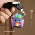 thumbnail image 6 of MORESEC under $5 2Pcs Acrylic Keychain, Cute Hedgehog Shaped Acrylic Keychain, Colorful Backpack Keyring Charm for Purse Bag Zipper, Decorative Gift for Kids Friends, Lightweight Durable Accessory, 6 of 9